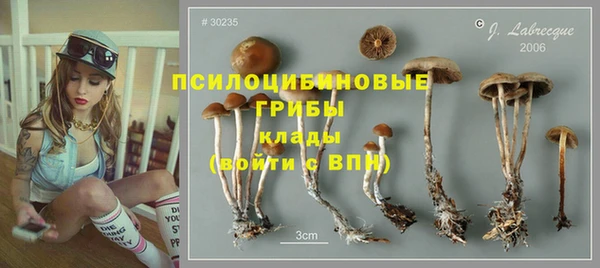 стаф Баксан