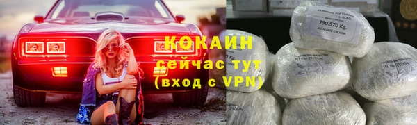 стаф Баксан
