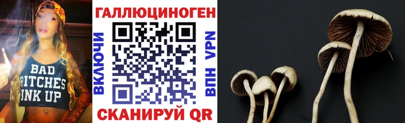 Псилоцибиновые грибы мицелий купить наркотик kraken ONION Козловка